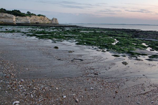 Exemple d'estran à Saint-Georges-de-Didonne (17)