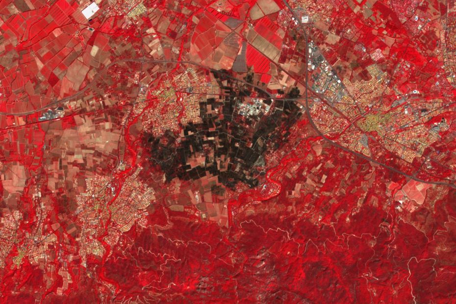 Devastating Fire in Pyrénées-Orientales: Tragic Environmental Impact Revealed by Satellite Photos