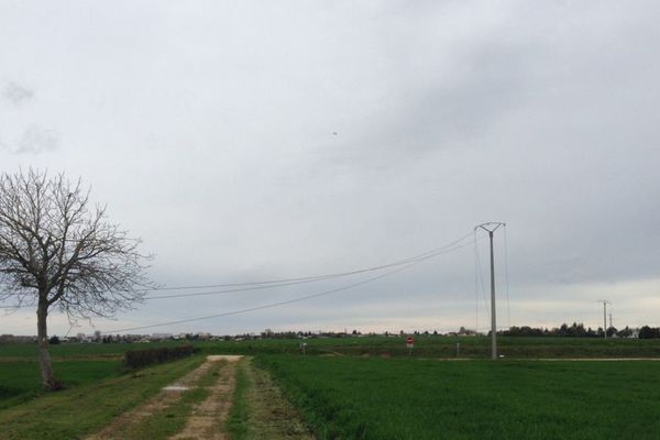 La ligne à moyenne tension coupée