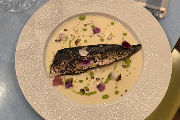 Ajo blanco, maquereau brulé au vinaigre et huile de coriandre par "La Cuisine des Mousquetaires"