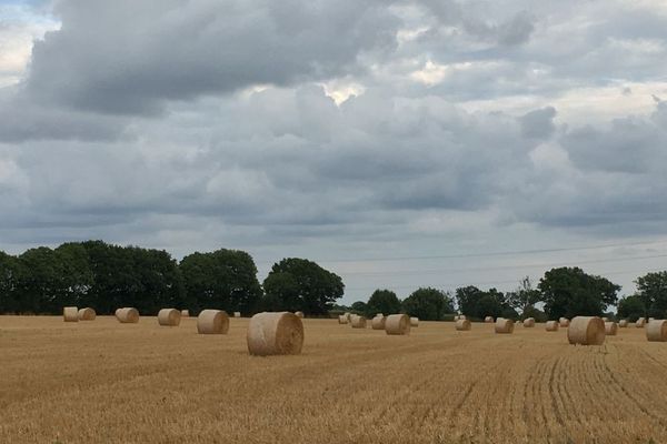 Campagne près de Rennes