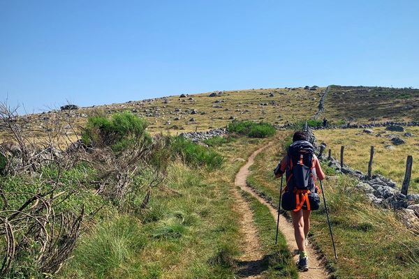 L'Aubrac fait partie des destinations qui attirent de nouveaux vacanciers, depuis la pandémie.