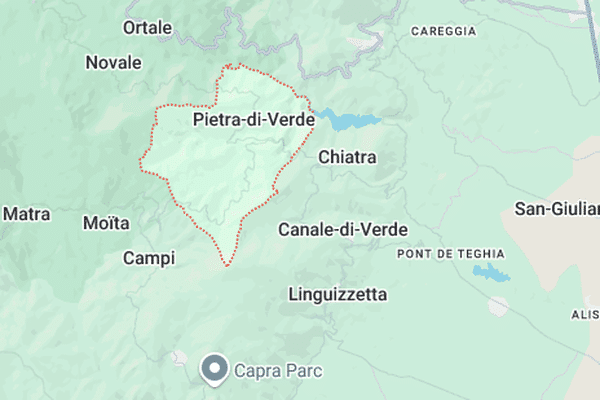 Un feu s'est déclaré près du village de Pietra-di-Verde ce mercredi 20 novembre.