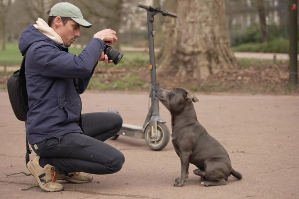 Gueules de Lyonnais : des portraits canins bien léchés et qui ont du chien. Benjamin immortalise Speedy pour les réseaux sociaux - février 2024