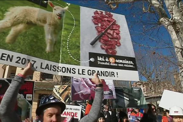 La L214 manifeste à Aix-en-Provence