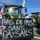 En janvier 2024, des agriculteurs du Cantal avaient bloqué l'A75.