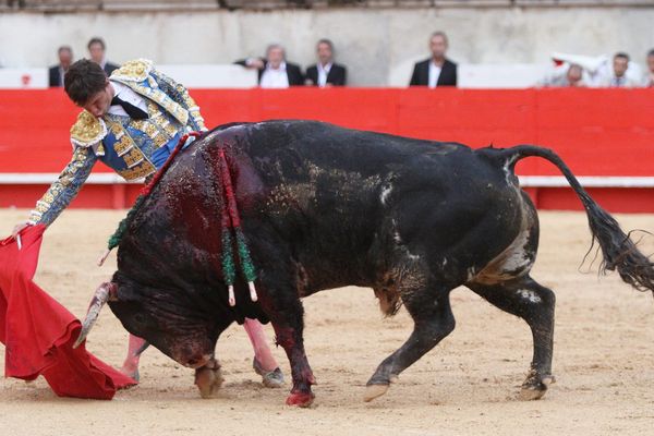 El Juli, pendant la Feria de Pentecôte à Nîmes.