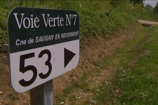 La Saône-et-Loire jouit désormais d'une nouvelle portion de 16 kilomètres de voie verte, entre Louhans et la limite du Jura, à Savigny-en-Revèremont.