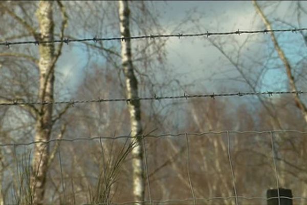 4000 kilomètres de grillage découpent les forêts de Sologne.