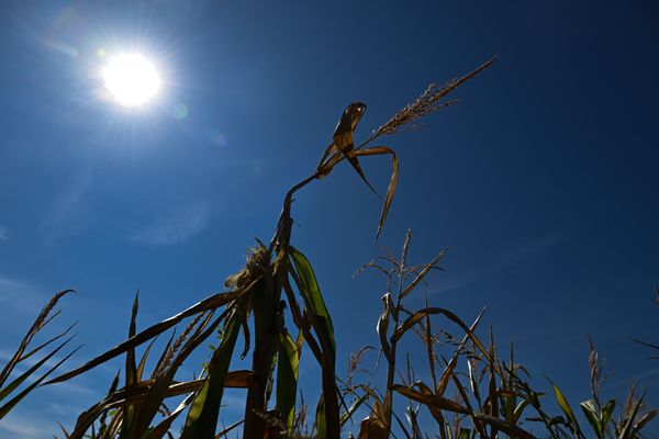 Illustration. Le niveau d'alerte sécheresse renforcée est toujours en cours dans certains secteurs de l'Isère.