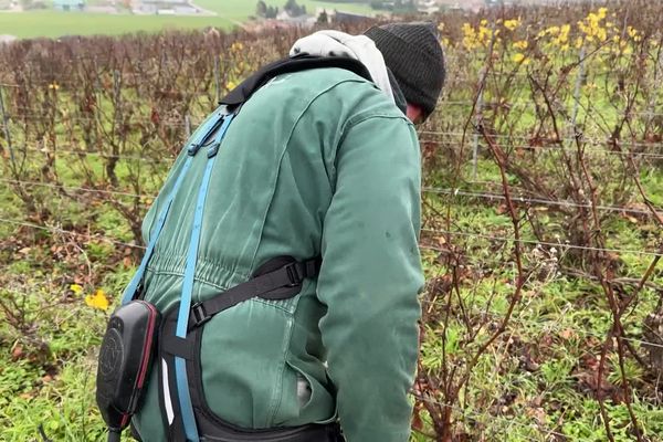 L'outil permet de prévenir les risques musculosquelettiques auxquels les employés peuvent être confrontés.