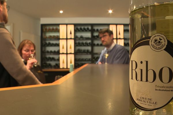 Le "Ribo", premier vin désalcoolisé du vignoble alsacien, trouve sa place sur le marché : de 12.000 bouteilles produites en 2022, la cave de Ribeauvillé est déjà passé à 30.000.