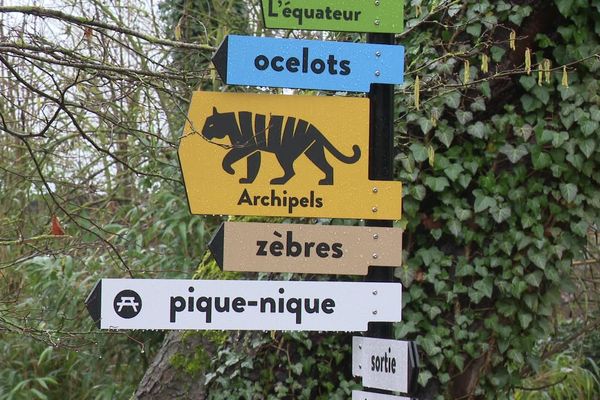 Pour garder le contact avec les visiteurs malgré le confinement, le zoo d'Amiens propose aux enfants des activités pédagogiques à distance.