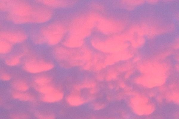 Comme des petits nuages de guimauve au dessus de Fercé-sur-Sarthe