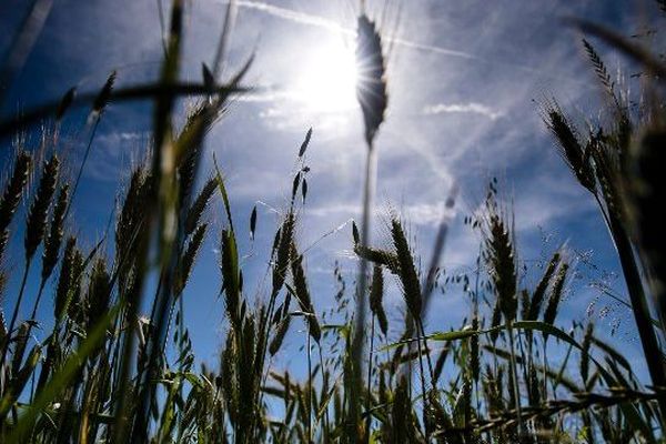 En raison de la sécheresse, en Haute-Loire, des mesures de restriction de l’eau ont été prises, sauf pour les « axes soutenus » de la Loire et de l’Allier.