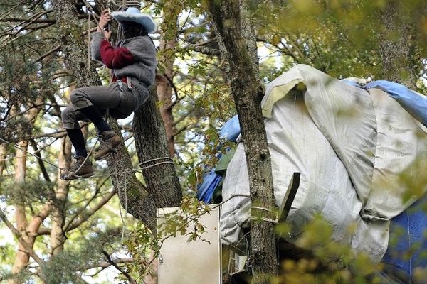 Un militant anti-aéroport dans les arbres