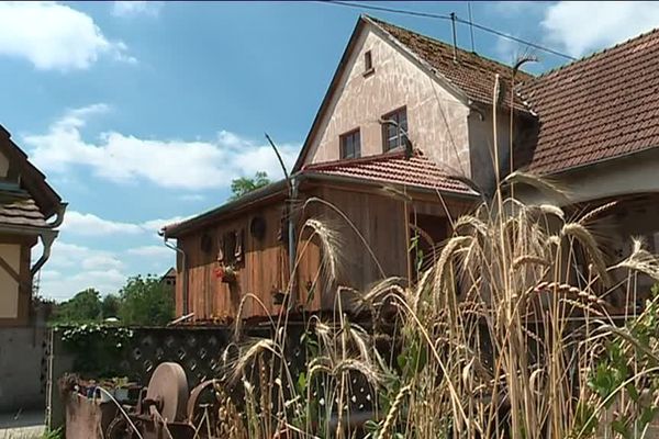 Au départ de son père, Rémi Jung a repris le moulin familial