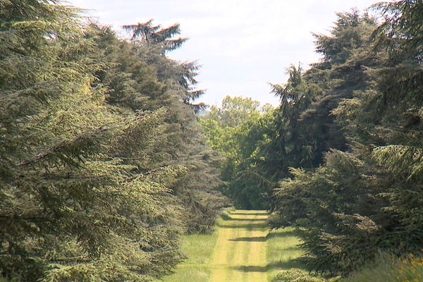 L'Arboretum de Versailles-Chèvreloup dans les Yvelines, un Jardin remarquable.