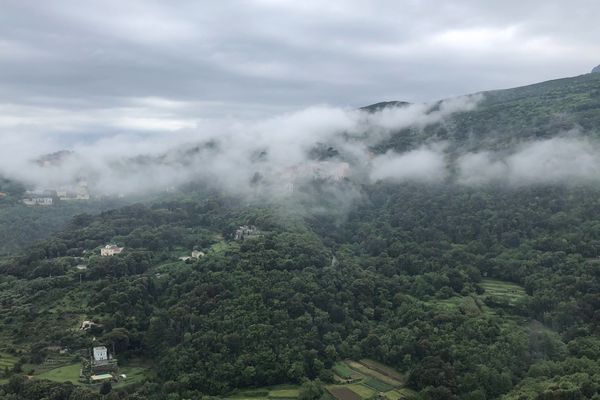 06/05/2018 - Vue depuis le village de Cardo (Haute-Corse)