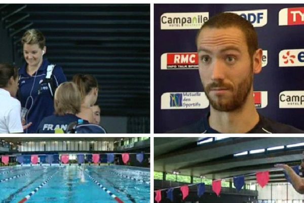 Les nageurs picards se préparent pour les championnats du monde de natation