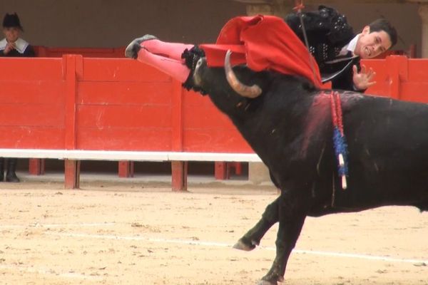 Grosse frayeur et belle faena : Guillermo Valencia à Lunel