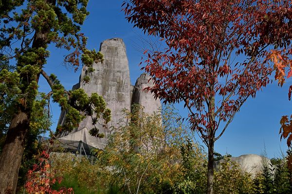 Le Parc zoologique de Paris a besoin de 100 000 euros pour rénover le Grand Rocher.