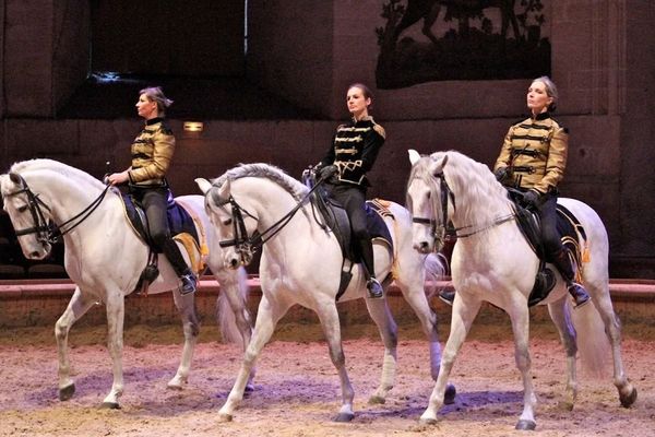 Les écuyères de Chantilly