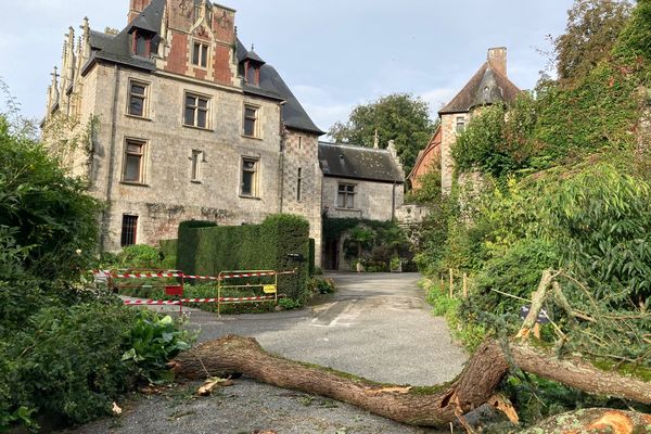 Les dégâts ont obligé le Parc de Clères (Seine-Maritime) à fermer provisoirement ses portes.