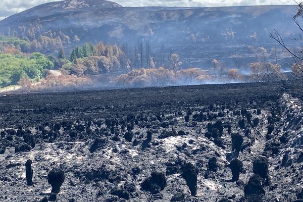 Monts d'Arrée après les incendies de l'été 2022