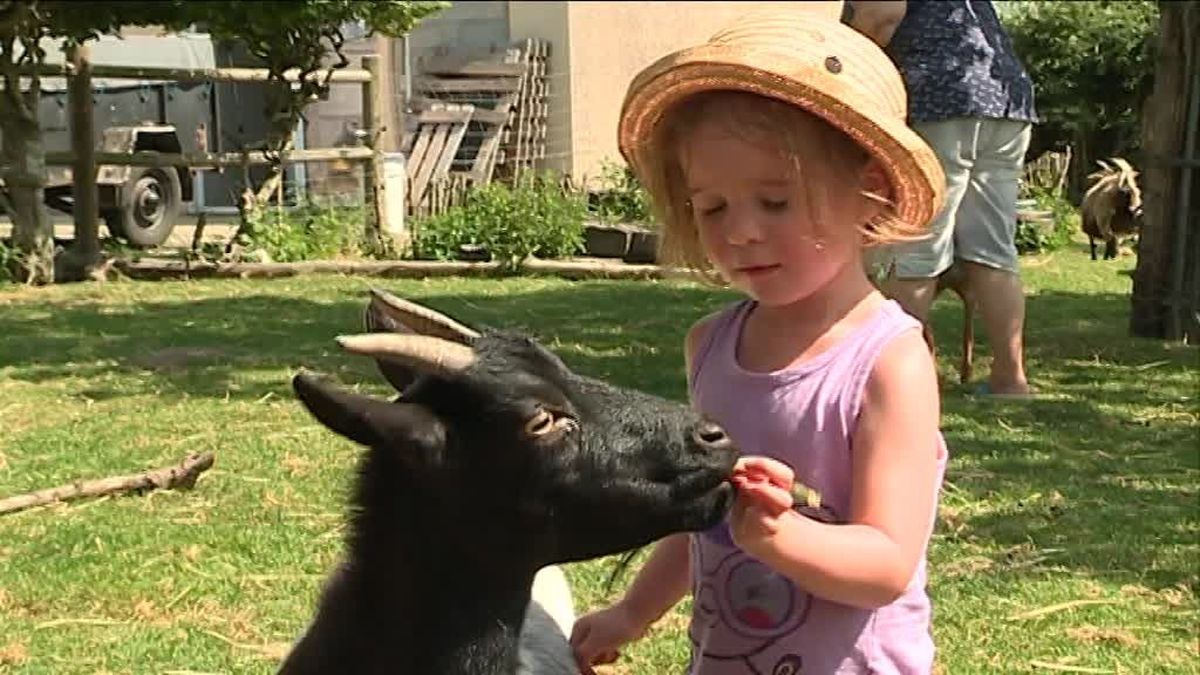 la.mini.ferme.normande