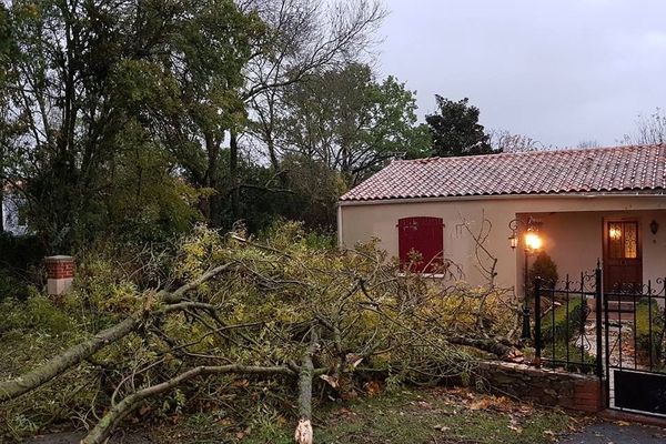 Une trentaine d'habitatiins touchées par une mini-tornade à Saint-Georges-de-Montaigu, le 11 novembre 2018