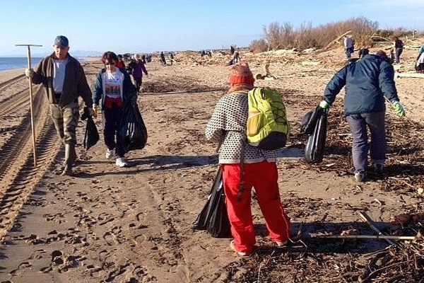 Fleury-d'Aude - bénévoles et jeunes nettoient la plage après la tempête et les inondations - 14 janvier 2015.