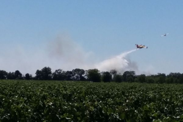 Le feu de garrigue à Bessan, dans l'Hérault - 15 juillet 2017 /