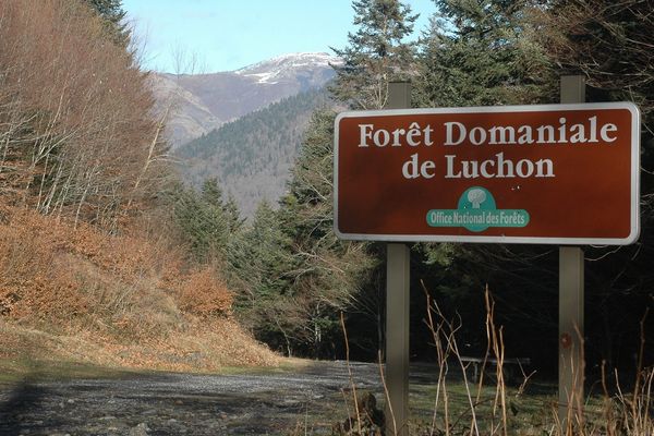 Tous les samedis des mois de mai et juin le rendez-vous est fixé à 10 heures au parking de l'Hospice de France à Luchon (31).