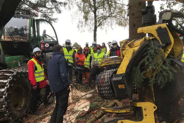 Dans le Puy-de-Dôme, des visites sont organisées pour parler de la filière bois et montrer les métiers. 