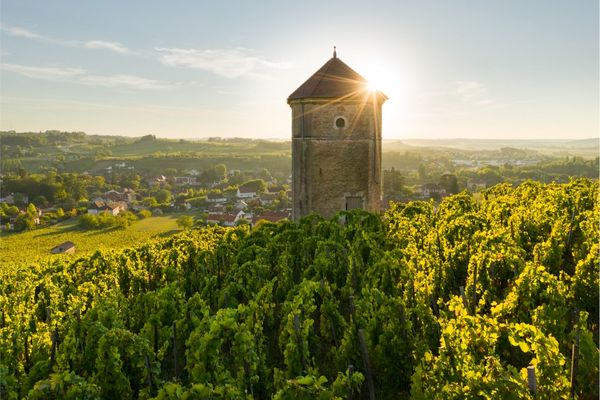 Les résultats du second tour des élections législatives 2024 dans le Jura.