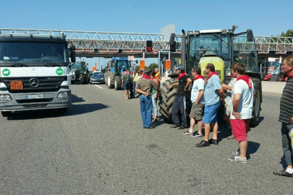 Au péage de Sames en Pyrénées-Atlantiques, les agriculteurs ont de nouveau mené une opération de contrôle des camions ce mercredi. 