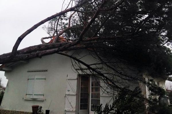 Après les fortes rafales de vent, un arbre est tombé sur une maison de Gujan Mestras (33) le 29/01/15