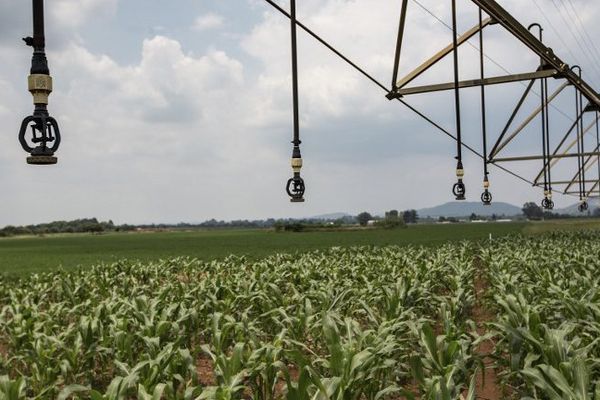 Pour ne plus utiliser de pesticides, les municipalités optent souvent dans l'investissement de machines.