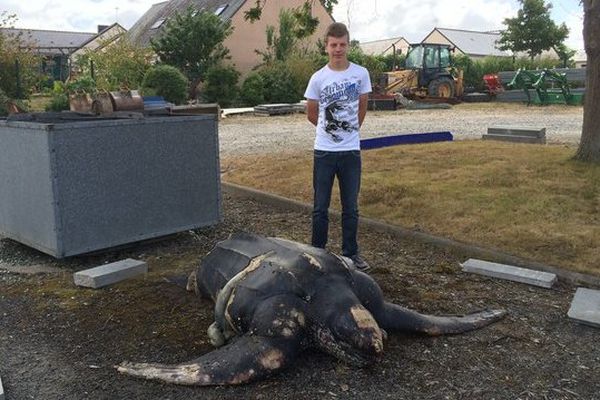 Miguel, le découvreur de la tortue géante de Donges