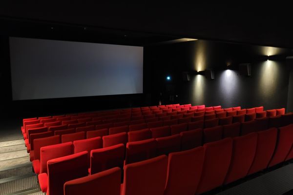 Les salles de cinéma ont vu leur fréquentation augmenter légèrement en 2024.