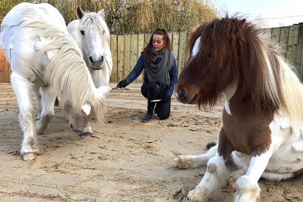 Elisa Laville, installée au Marais Vernier (76) animera la carrière assurera des animation tous les jours au salon du cheval.