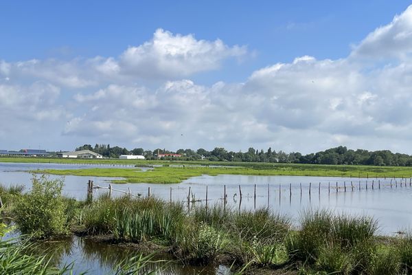 Les champs de Brière sont inondés à Saint-Joachim (Loire-Atlantique)