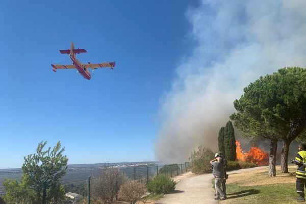 Un Canadair en action sur l'incendie de Vitrolles