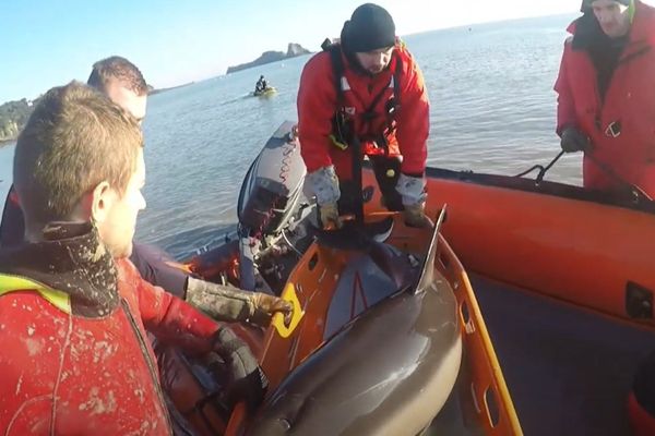 Le sauvetage des deux dauphins a duré deux bonnes heures