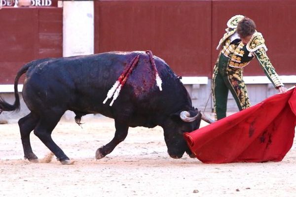 Une naturelle parfaite de Manuel Escribano ce jeudi à Madrid