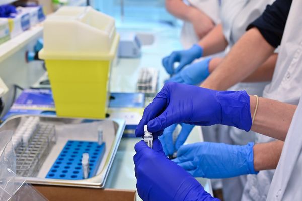 Des tests PCR analysés dans un laboratoire
