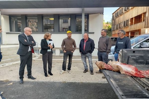 Mende - 2 attaques présumées de loup vers Chaudeyrac sur des veaux - 30 septembre 2024.