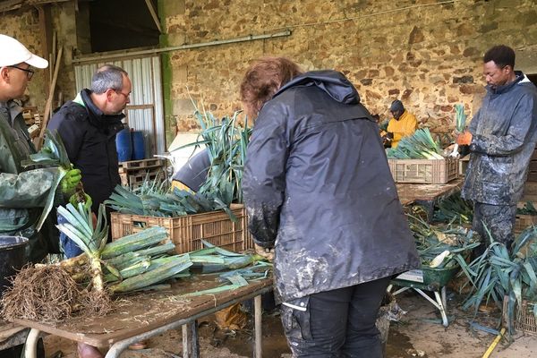 Christophe Bordey, au milieu des poireaux.