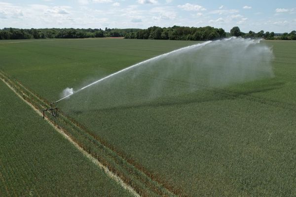 L'agriculture est la première activité consommatrice d'eau dans le monde.